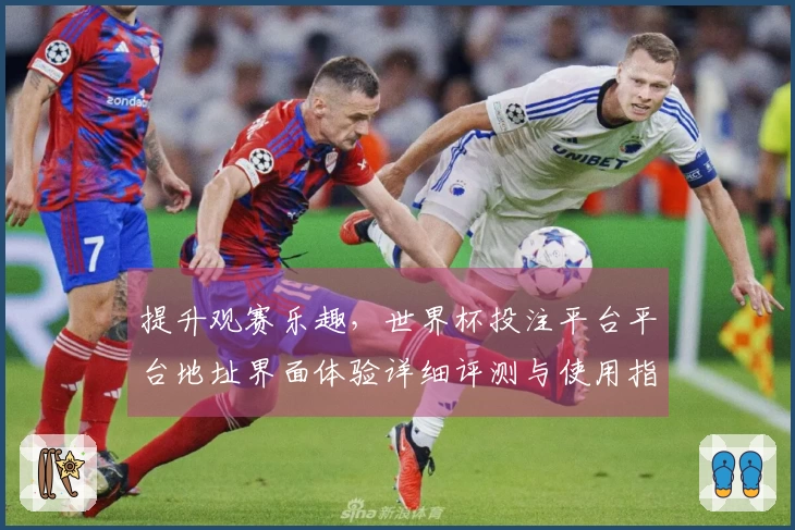 提升观赛乐趣，世界杯投注平台平台地址界面体验详细评测与使用指南