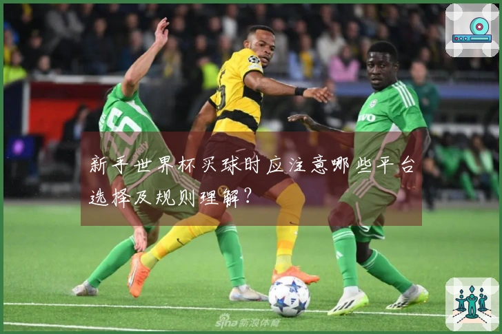 新手世界杯买球时应注意哪些平台选择及规则理解？