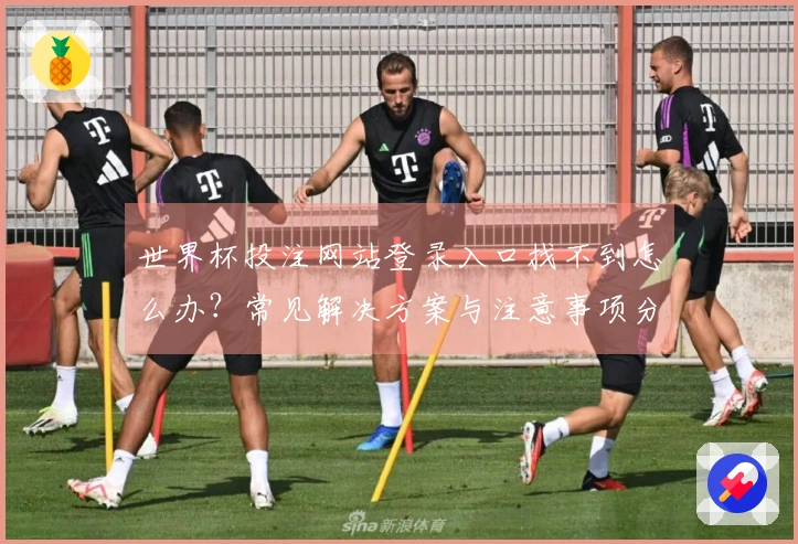 世界杯投注网站登录入口找不到怎么办？常见解决方案与注意事项分享