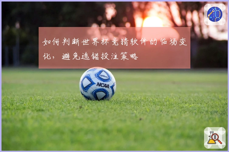 如何判断世界杯竞猜软件的临场变化，避免选错投注策略