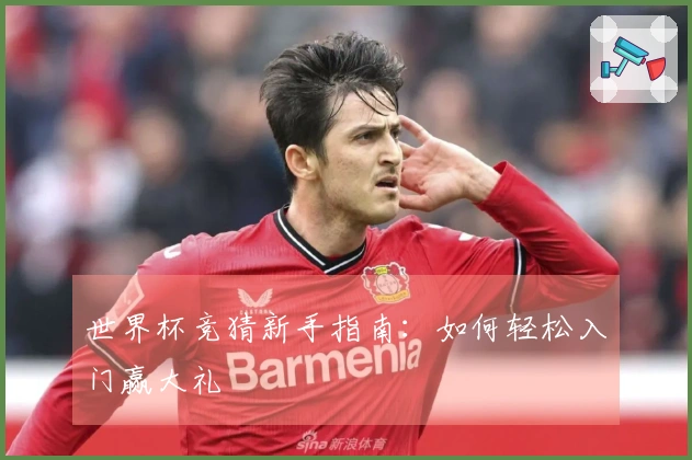 世界杯竞猜新手指南：如何轻松入门赢大礼