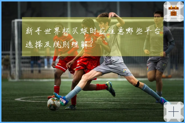 新手世界杯买球时应注意哪些平台选择及规则理解？