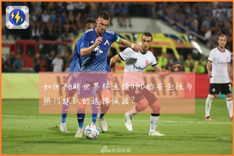 如何判断世界杯竞猜app的安全性与热门球队的选择依据？