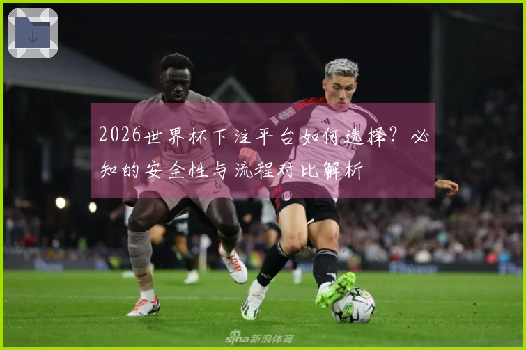 2026世界杯下注平台如何选择？必知的安全性与流程对比解析