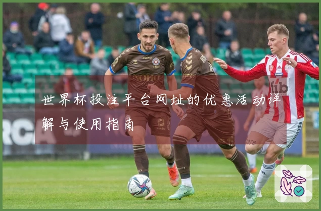 世界杯投注平台网址的优惠活动详解与使用指南