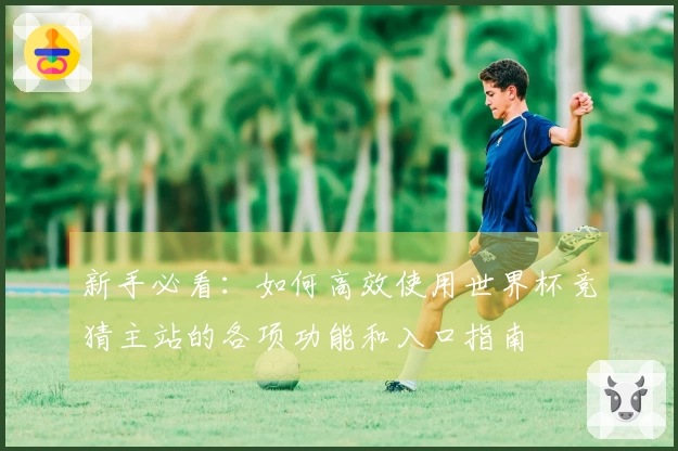 新手必看：如何高效使用世界杯竞猜主站的各项功能和入口指南