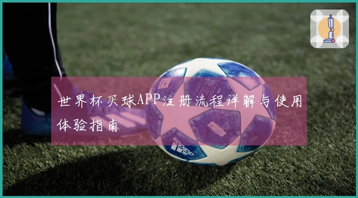 世界杯买球APP注册流程详解与使用体验指南