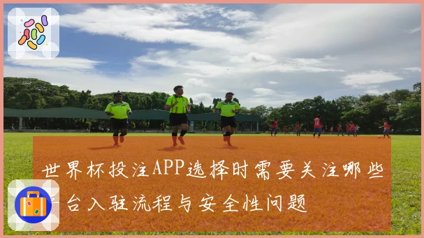 世界杯投注APP选择时需要关注哪些平台入驻流程与安全性问题