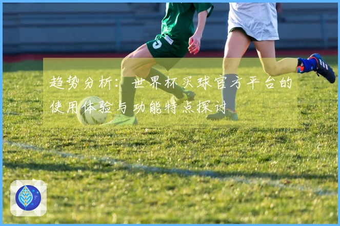 趋势分析：世界杯买球官方平台的使用体验与功能特点探讨