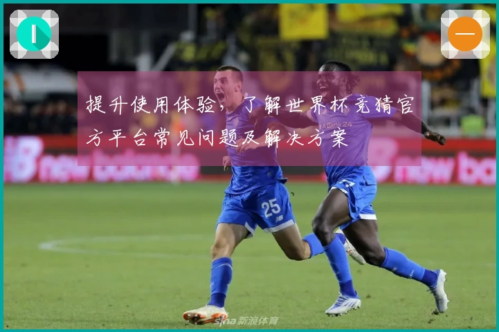 提升使用体验，了解世界杯竞猜官方平台常见问题及解决方案