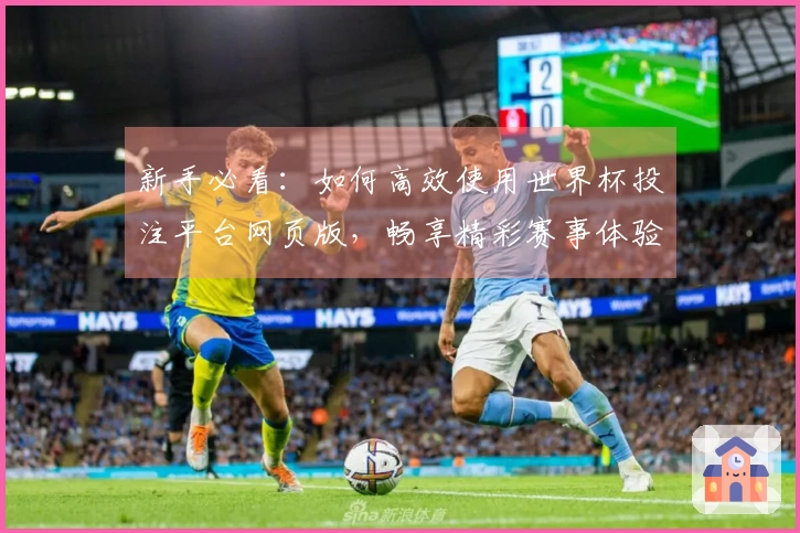 新手必看：如何高效使用世界杯投注平台网页版，畅享精彩赛事体验
