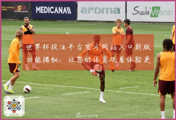 世界杯投注平台官方网站入口新版功能揭秘，让您的体育观看体验更畅快！
